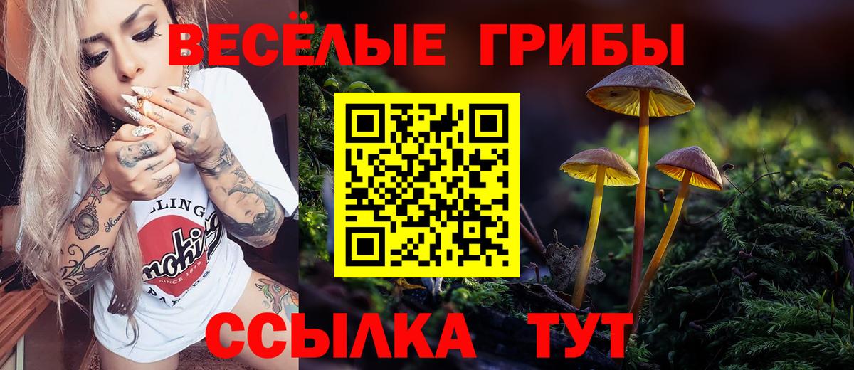 Магнитогорск  Псилоцибиновые грибы GOLDEN TEACHER  Вход с VPN 
